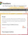 Frontiers in Synaptic Neuroscience雜志封面